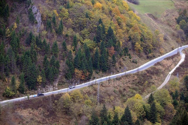 thumbs_b2_f52cd0da22e68232c20cef3f2ce6d21e